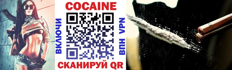 Cocaine FishScale  Купить закладки  Болхов 