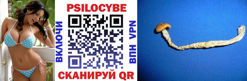 Галлюциногенные грибы MAGIC MUSHROOMS  Купить закладки  Болхов 